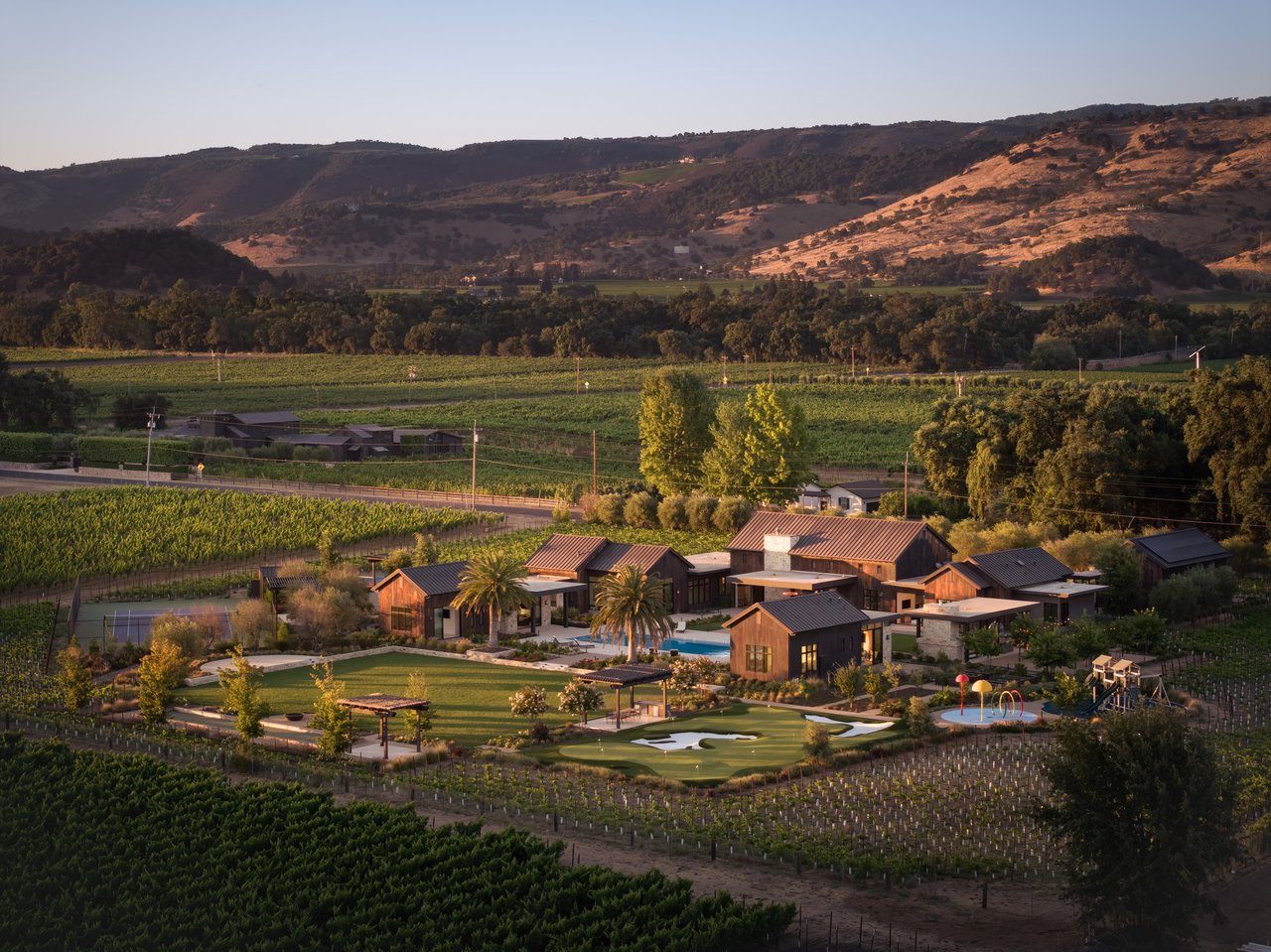 Yountville Vineyard View, Yountville