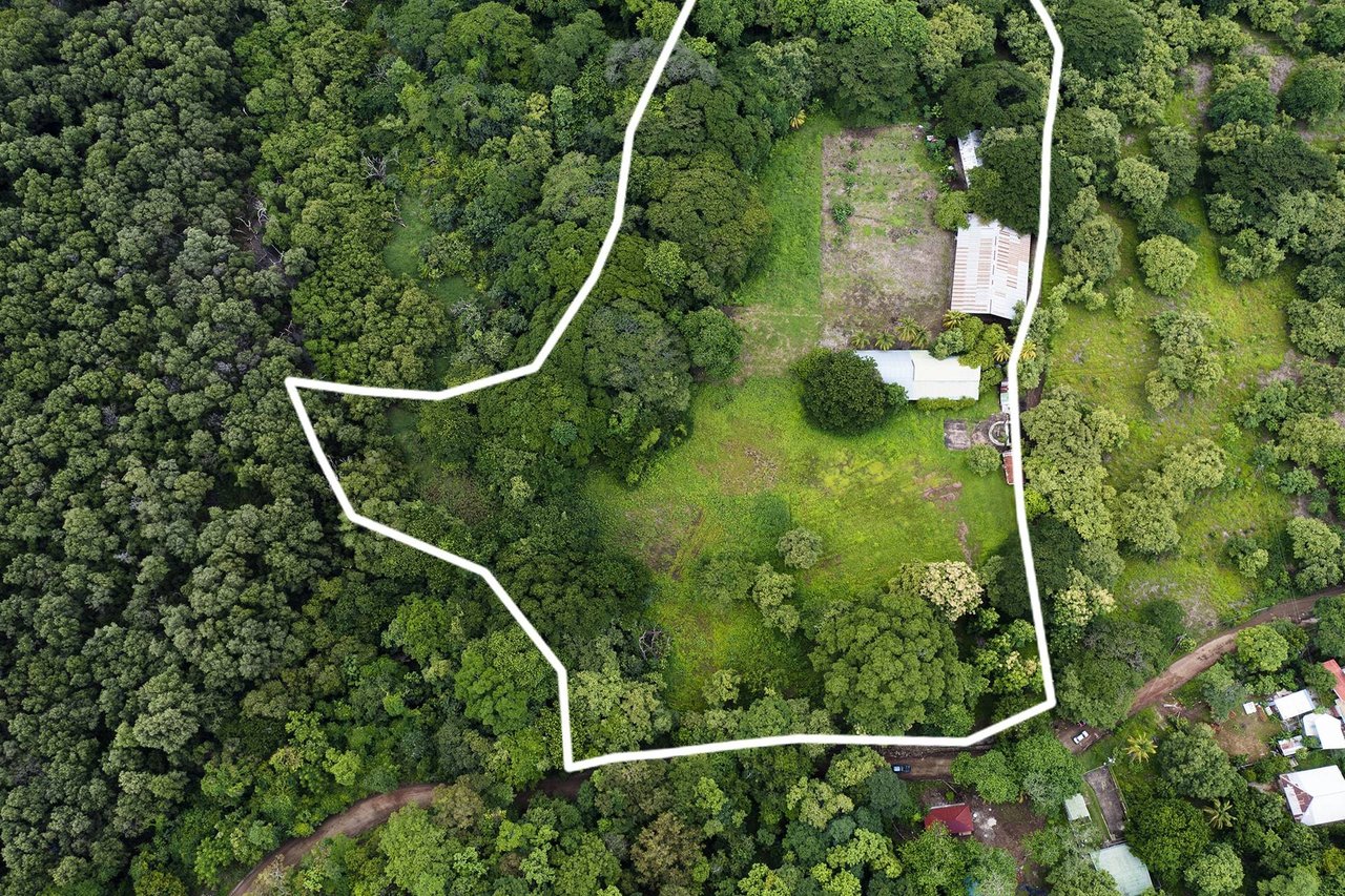 Flamingo 2.8 Hectare Parcel Playa Flamingo