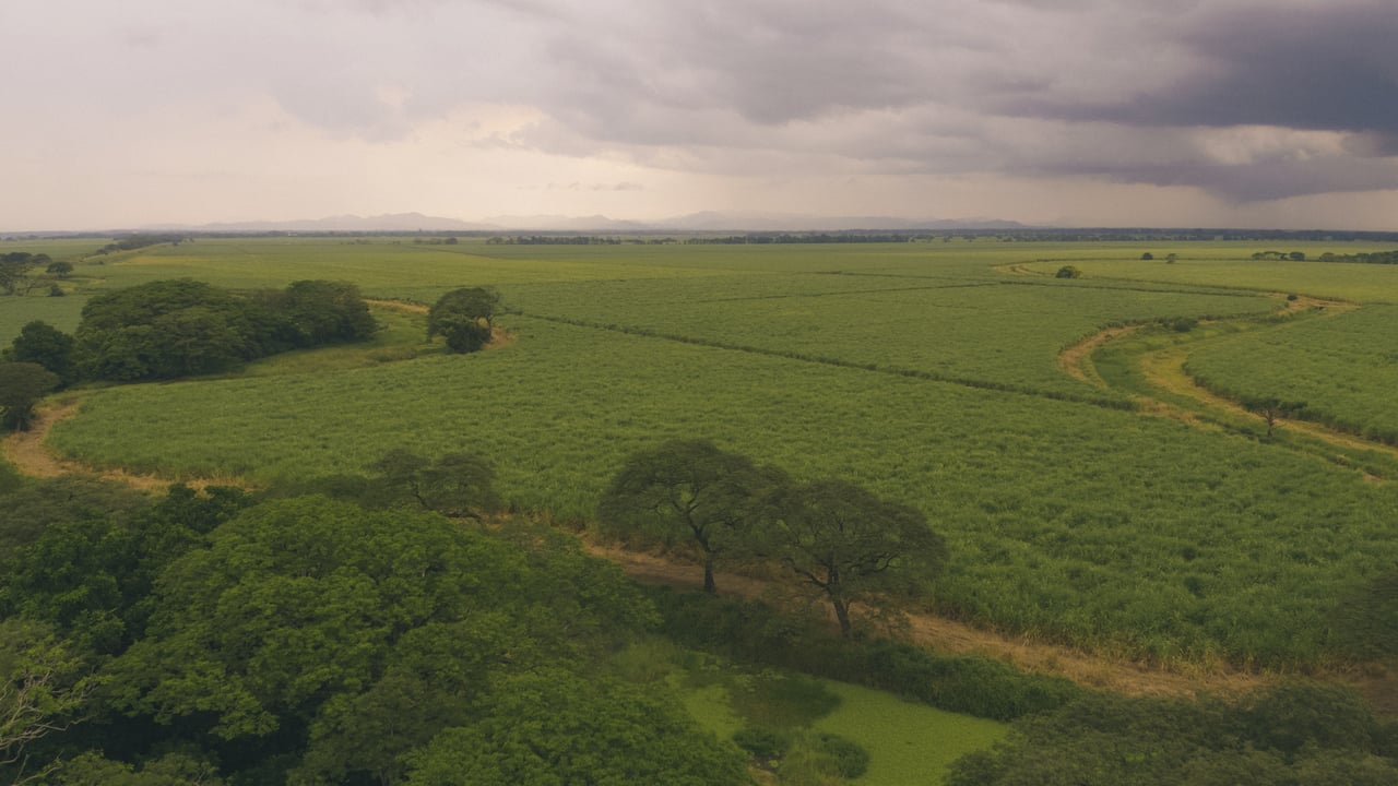  Punta Sabana & Mar Serena