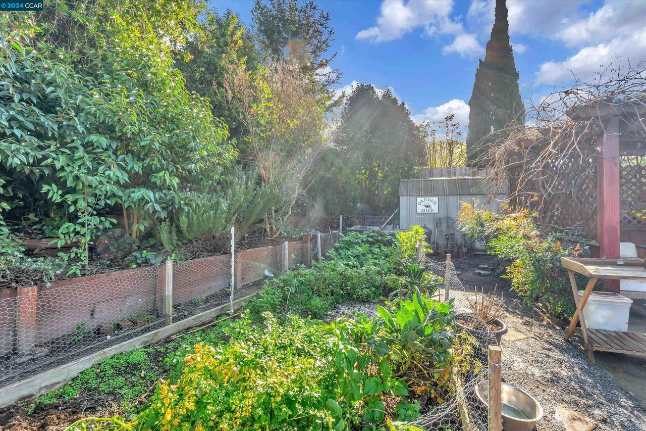 2216 Bristlecone Dr