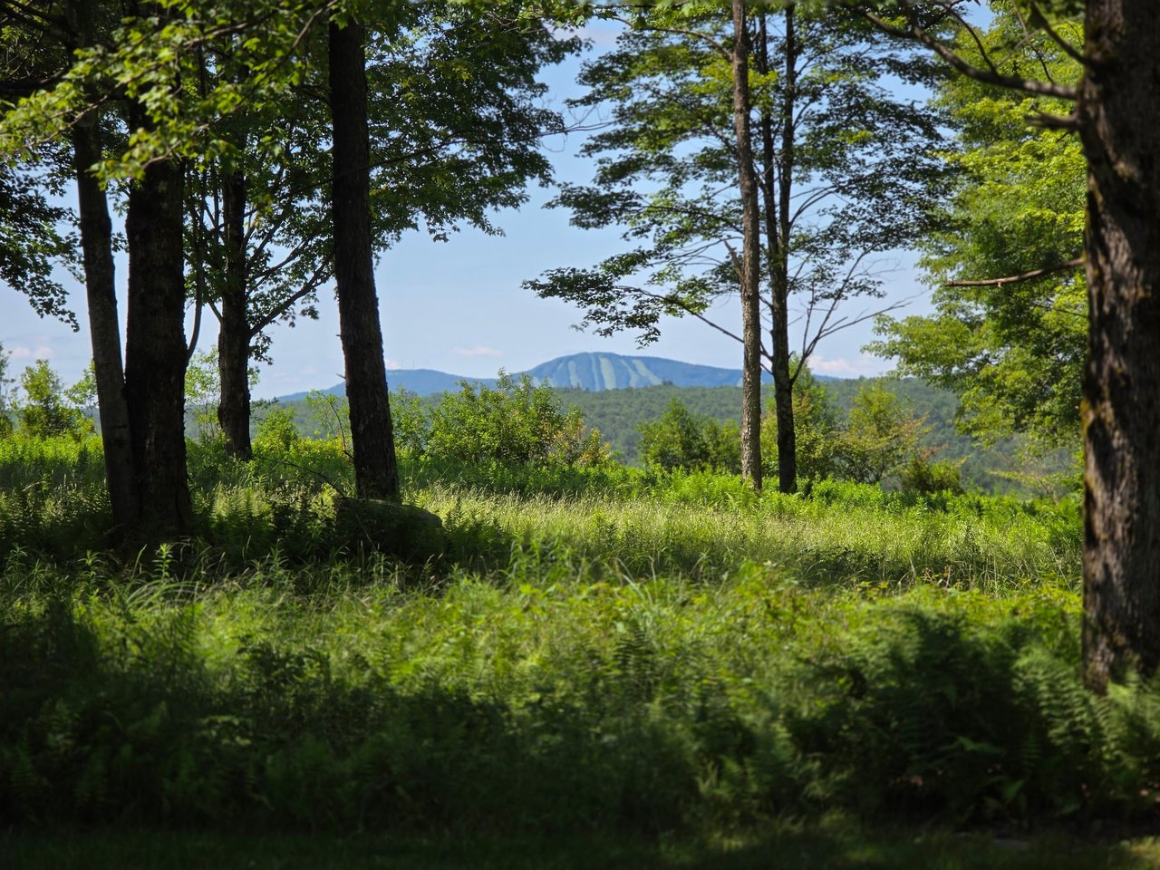 Live Where You Vacation: 3 Dream Homes for Sale in the Poconos  cover