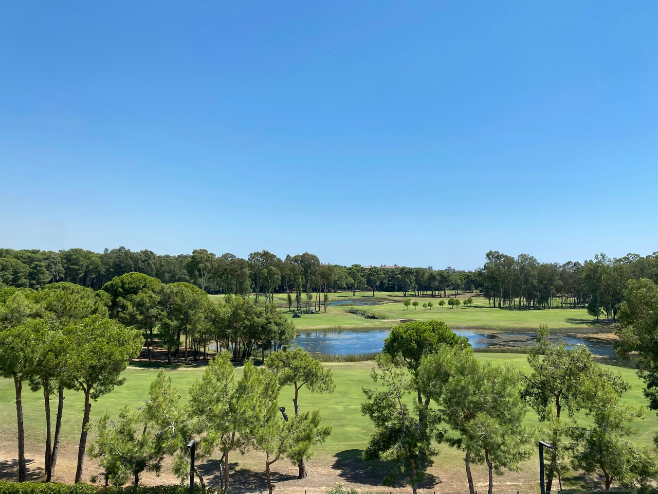 Illustrative flat golf course with pine trees and ponds; not Legacy Golf Club.