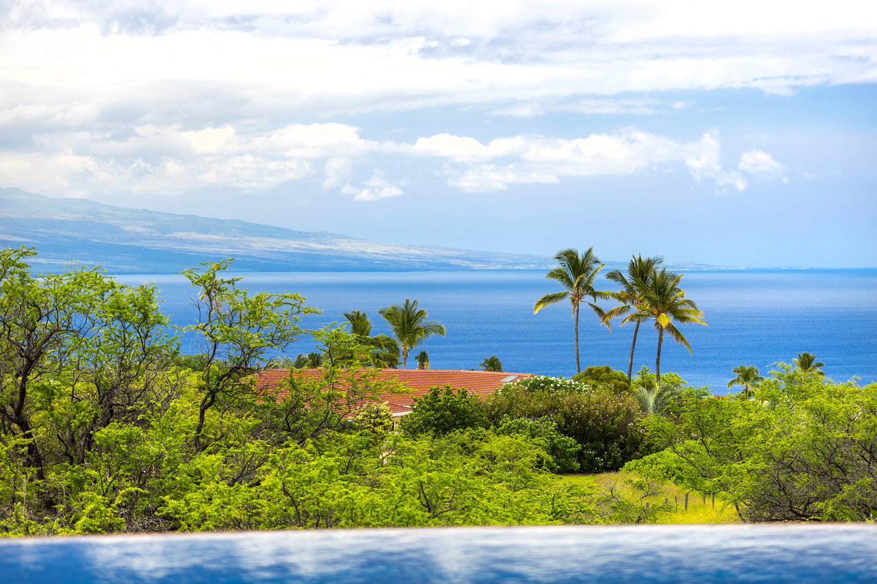 Coastal property with a pool, palm trees, and ocean views.
