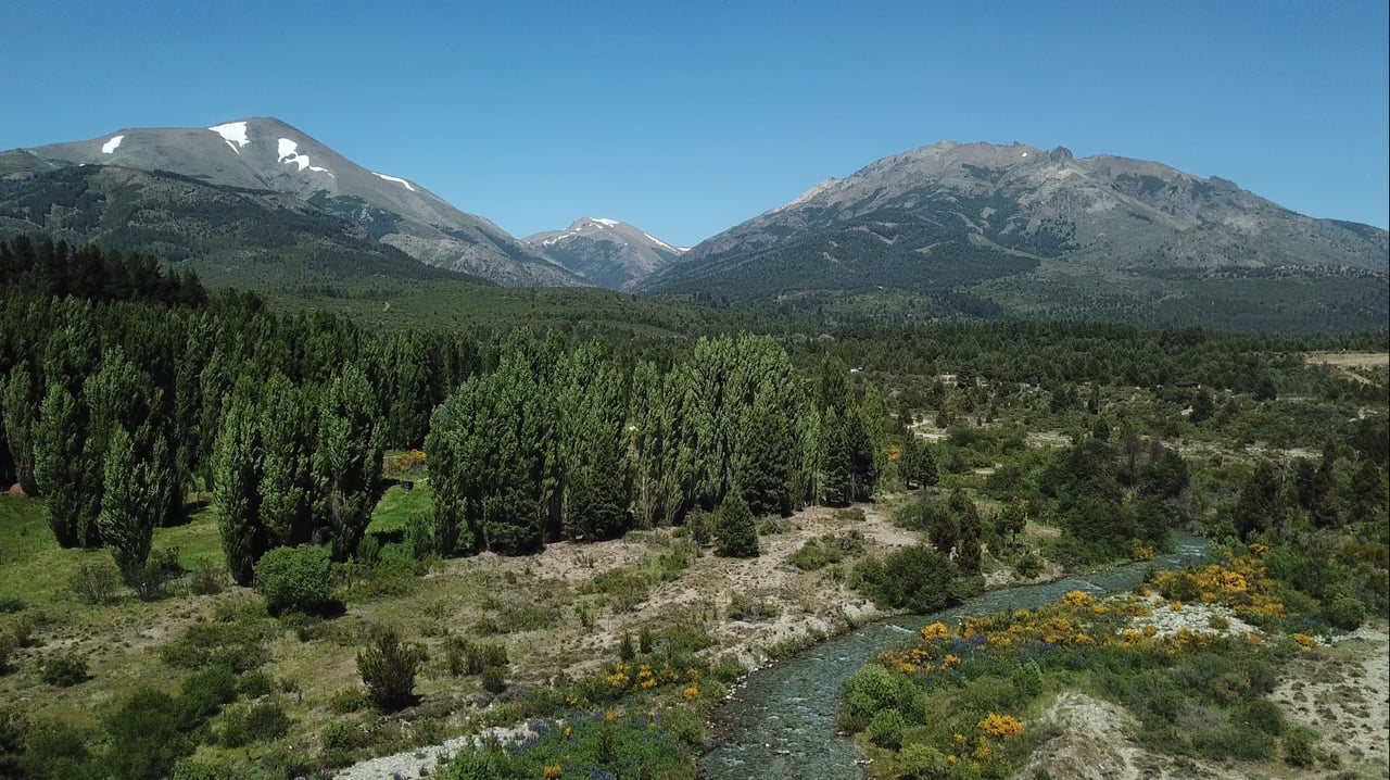 Mountain valley with forested slopes, snow patches, and a stream winding through the foreground.