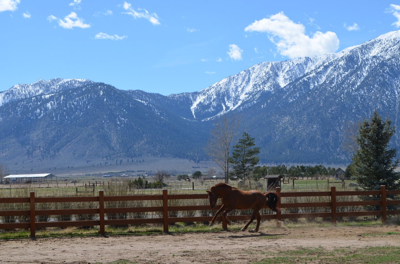 Gardnerville