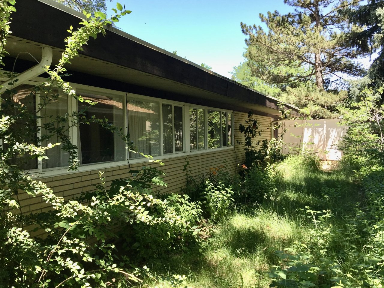 Mid-Century Design, Modern Amenities