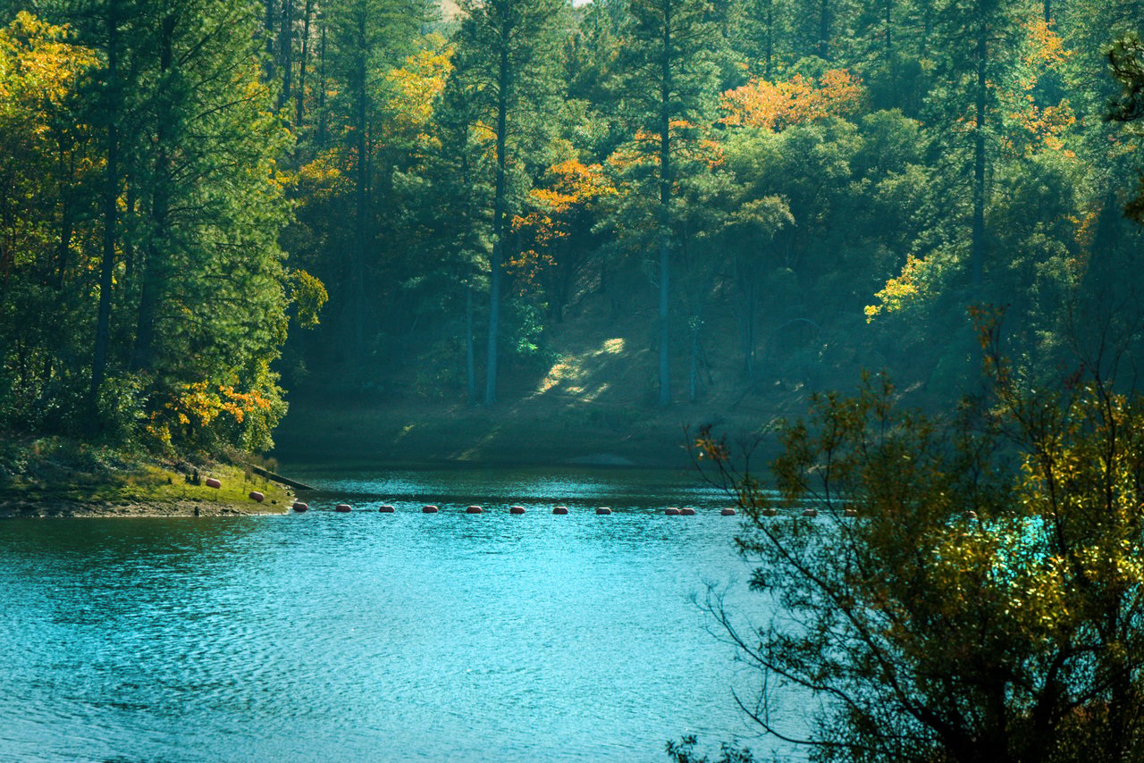 Turquoise lake bordered by sunlit autumn trees, with buoys stretching across the water.