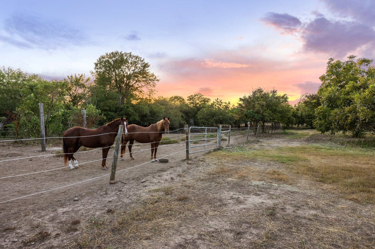 10 ACRES | 16709 Decker Creek