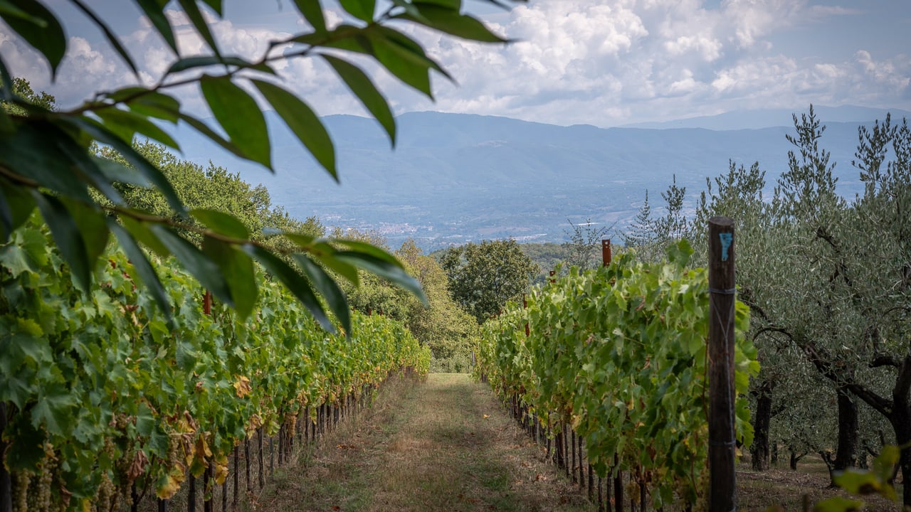 PODERE POGGIO ROTONDO