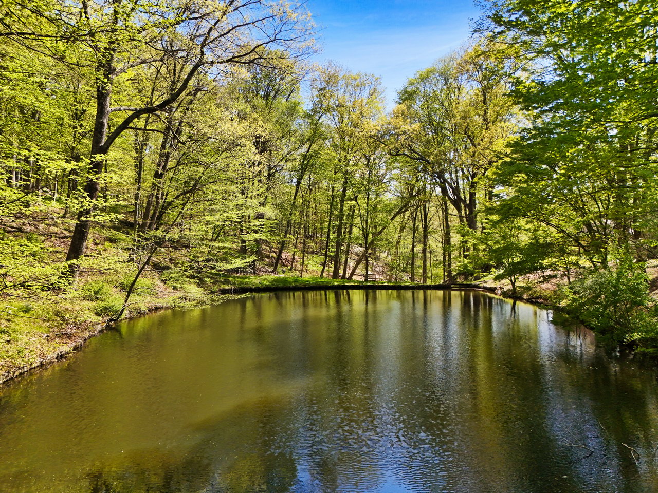 334 Pine Brook Road