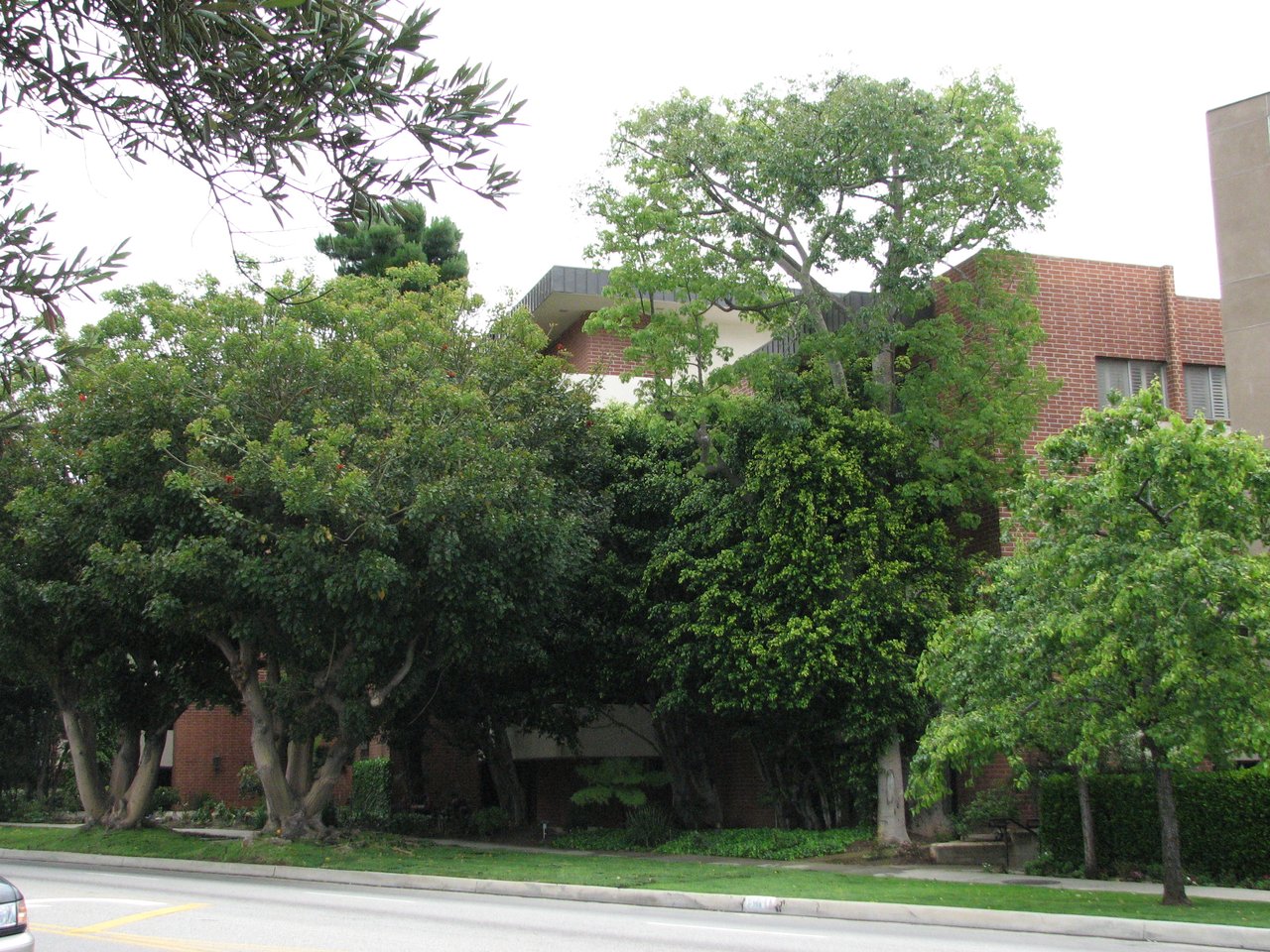 11750 W Sunset Blvd Unit 313