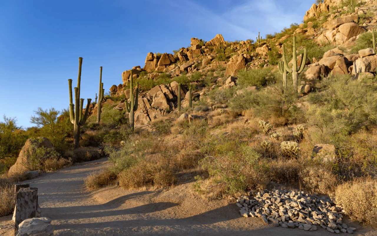 North Scottsdale