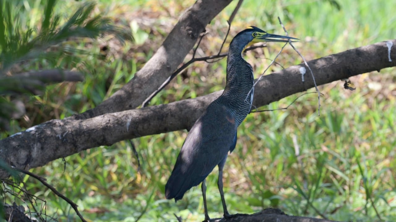 Prime 444-Acre Investment Opportunity 