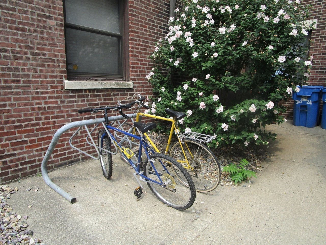 24 Peterborough St #12