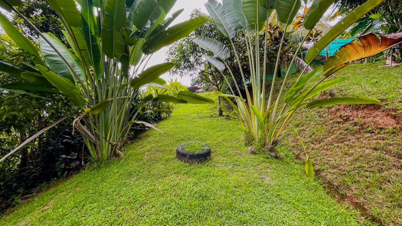 Two Homes on 1.55 Acres with Ocean & Mountain Views – Plus Room to Build!