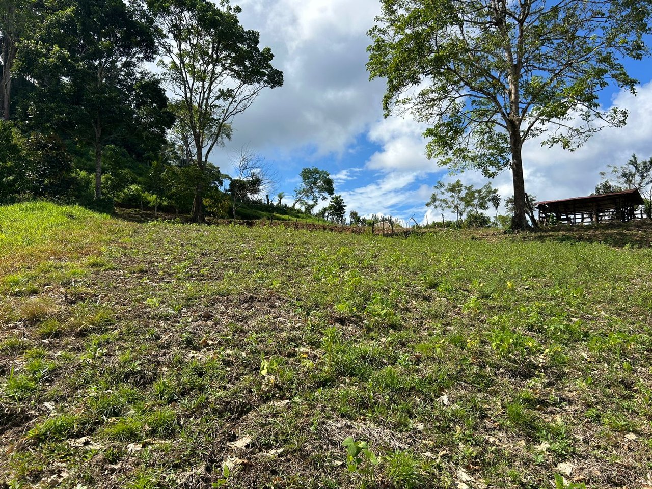 10-Acre Waterfall Farm with Amazing Valley and River View in San Isidro.