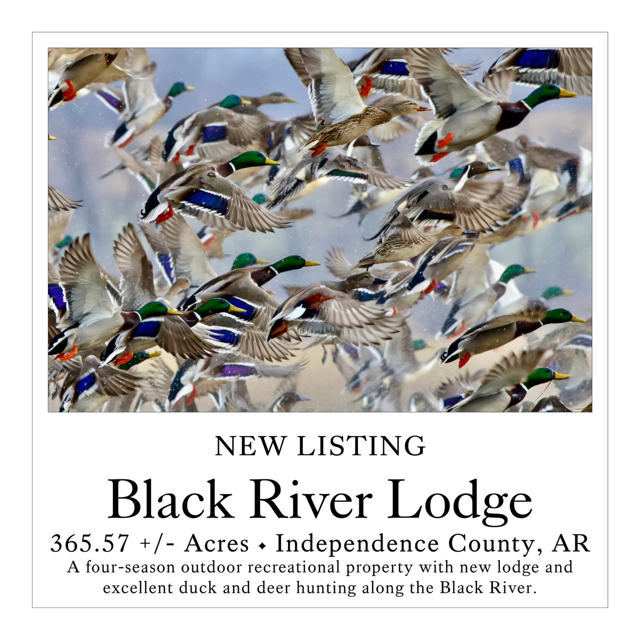 Black River Lodge