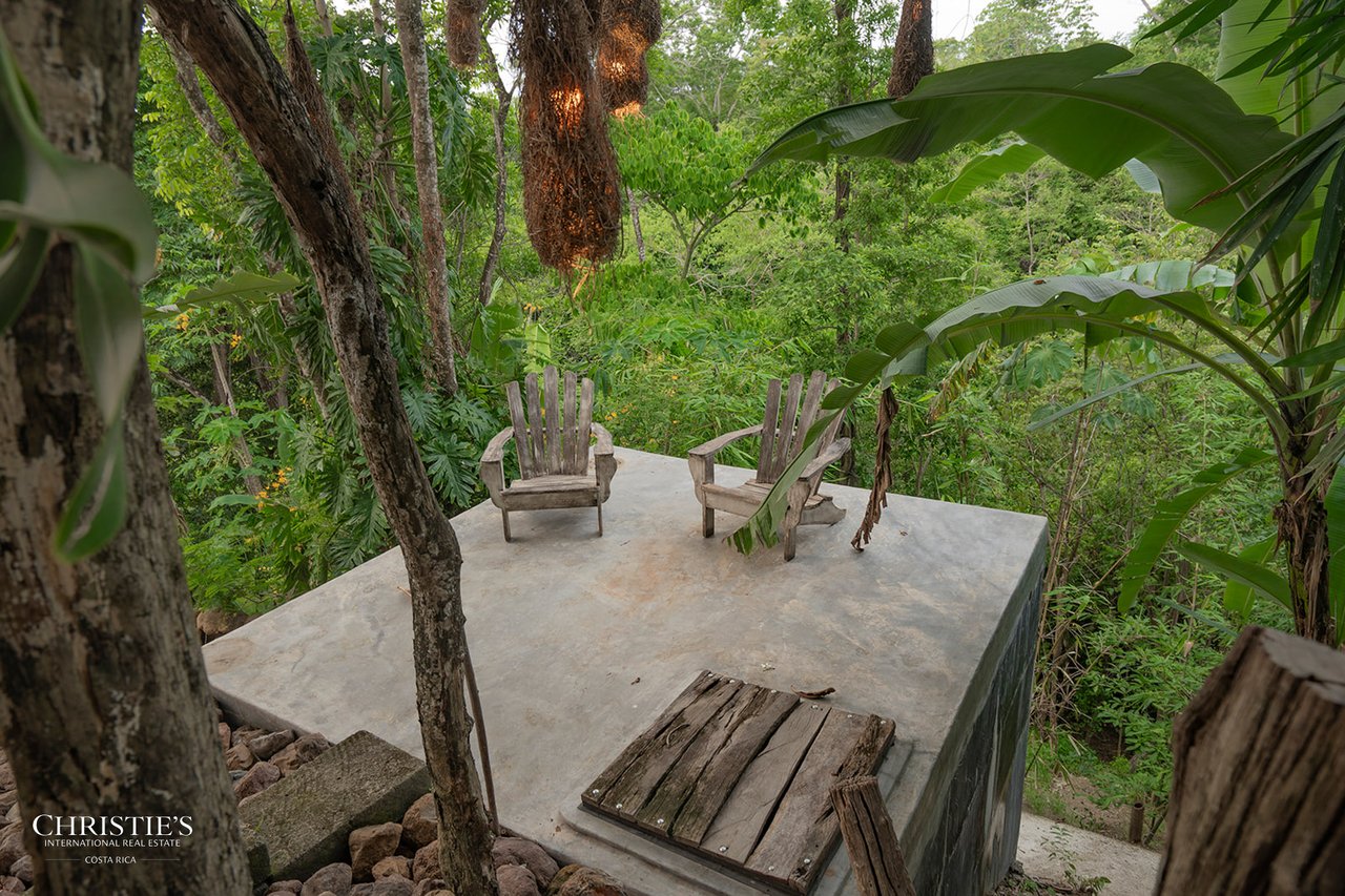 Villa Animales – Luxury Jungle Sanctuary
