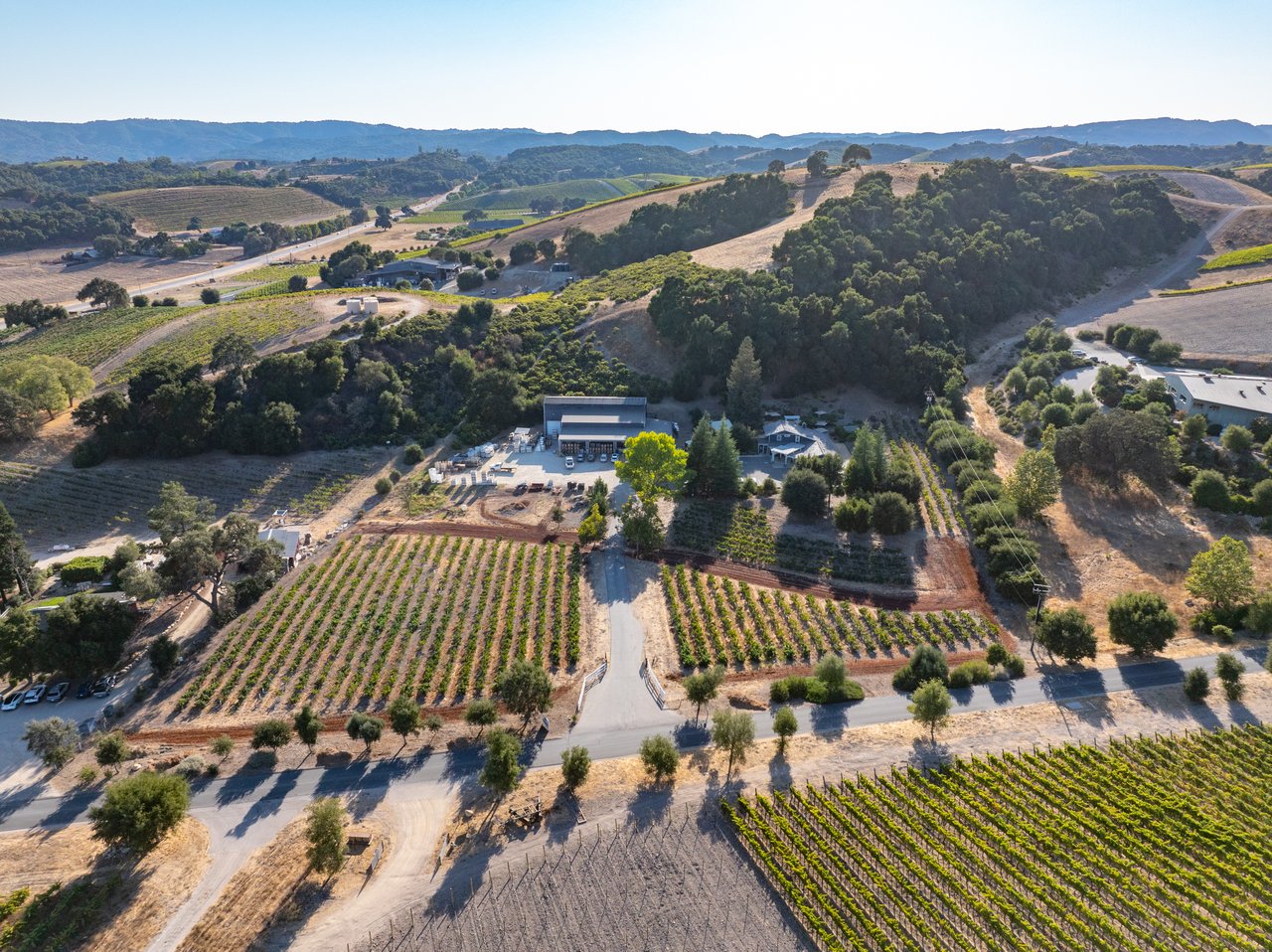 California Wine Country Correction May Signal a Rare Buying Window for Vineyard and Winery Investors