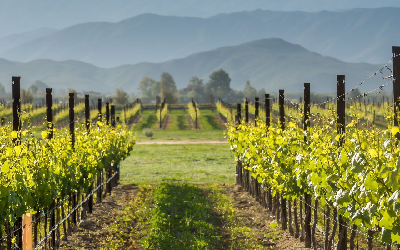 Temecula