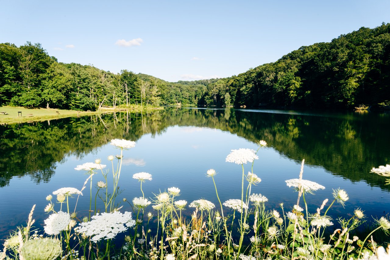 Chestatee Cove