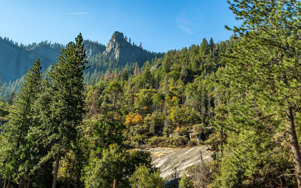 Wawona