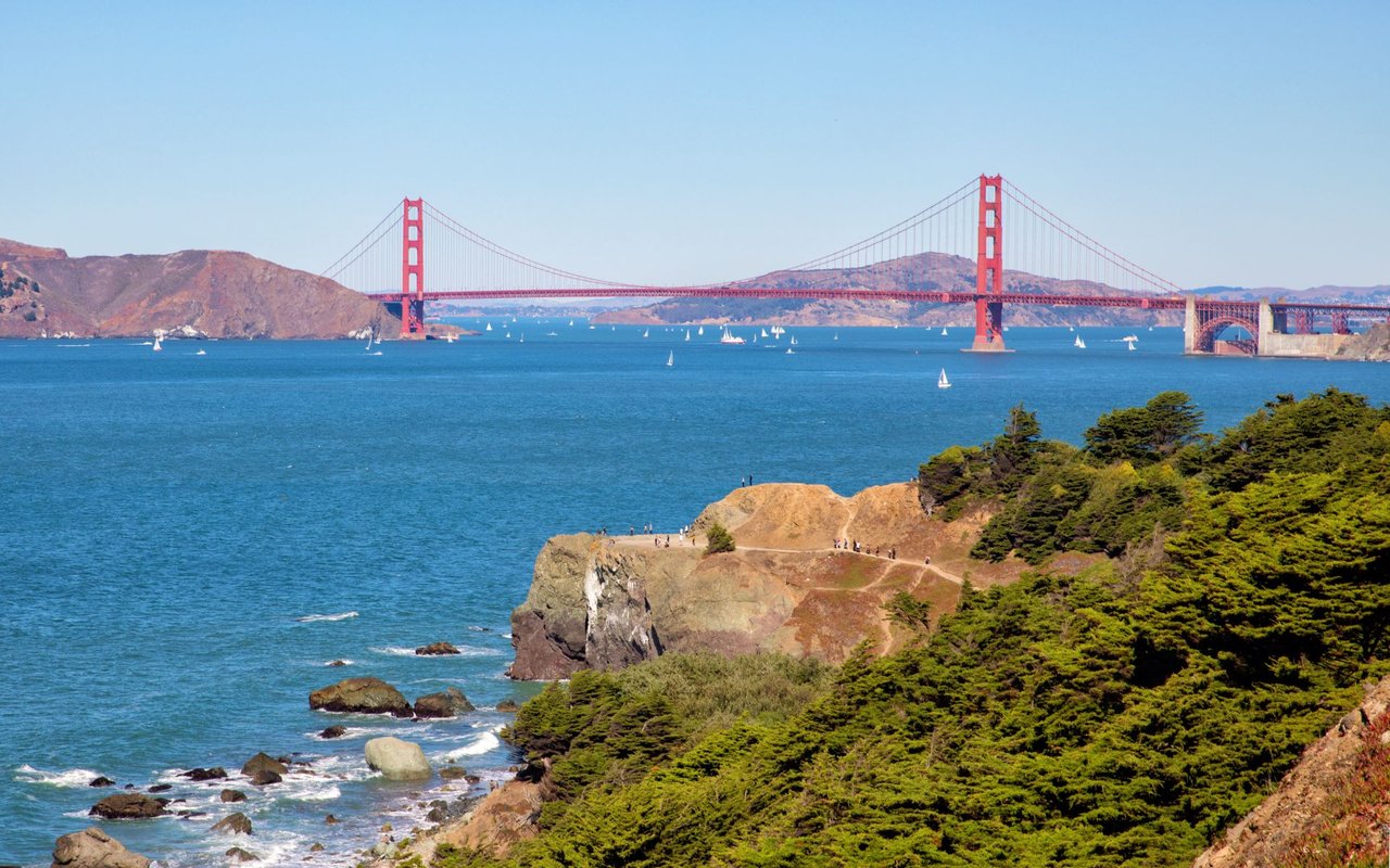 Sea Cliff