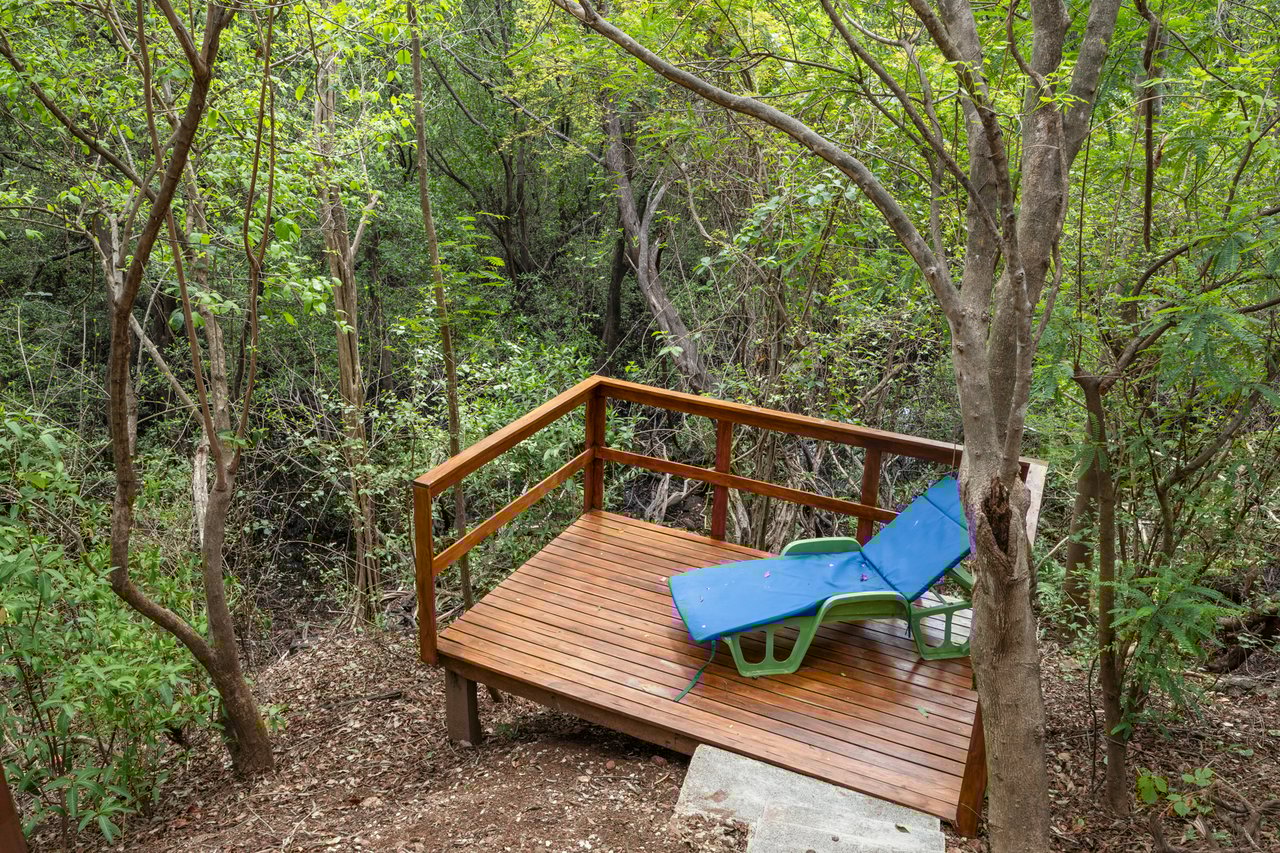 Casa Mimosa | Versatile Luxury Retreat Just 3 Minutes from Flamingo Beach