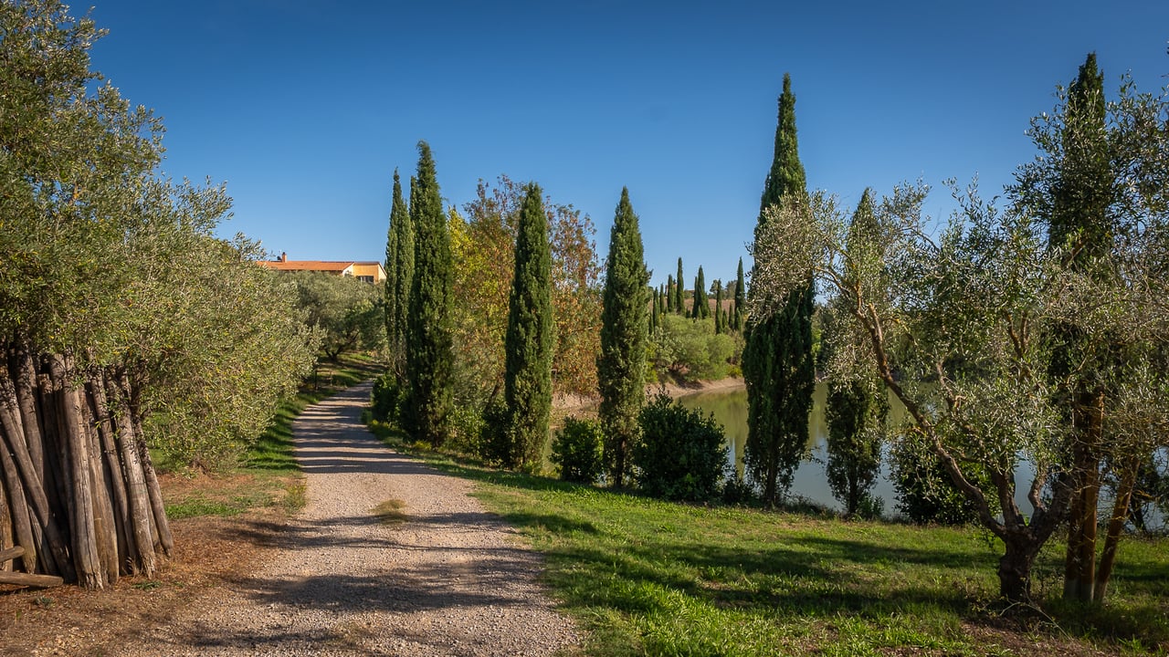 IL LEONE DEL FIORA
