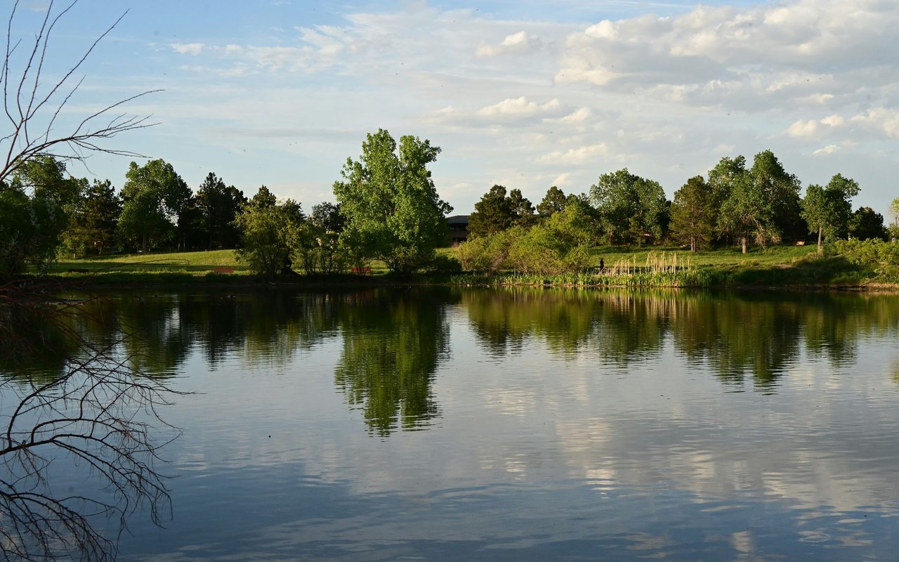 Woodlawn Lake
