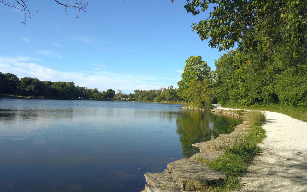 contact-form-background