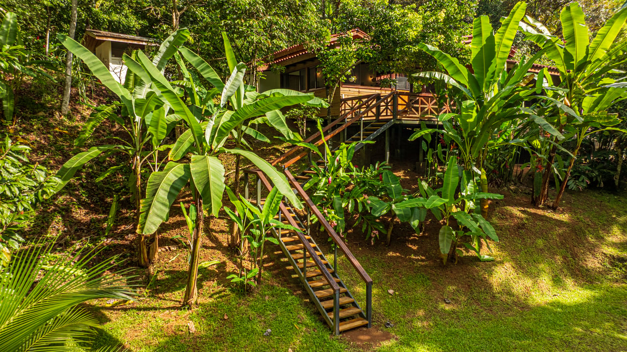 A Jungle House Built of Wood & River Dreams