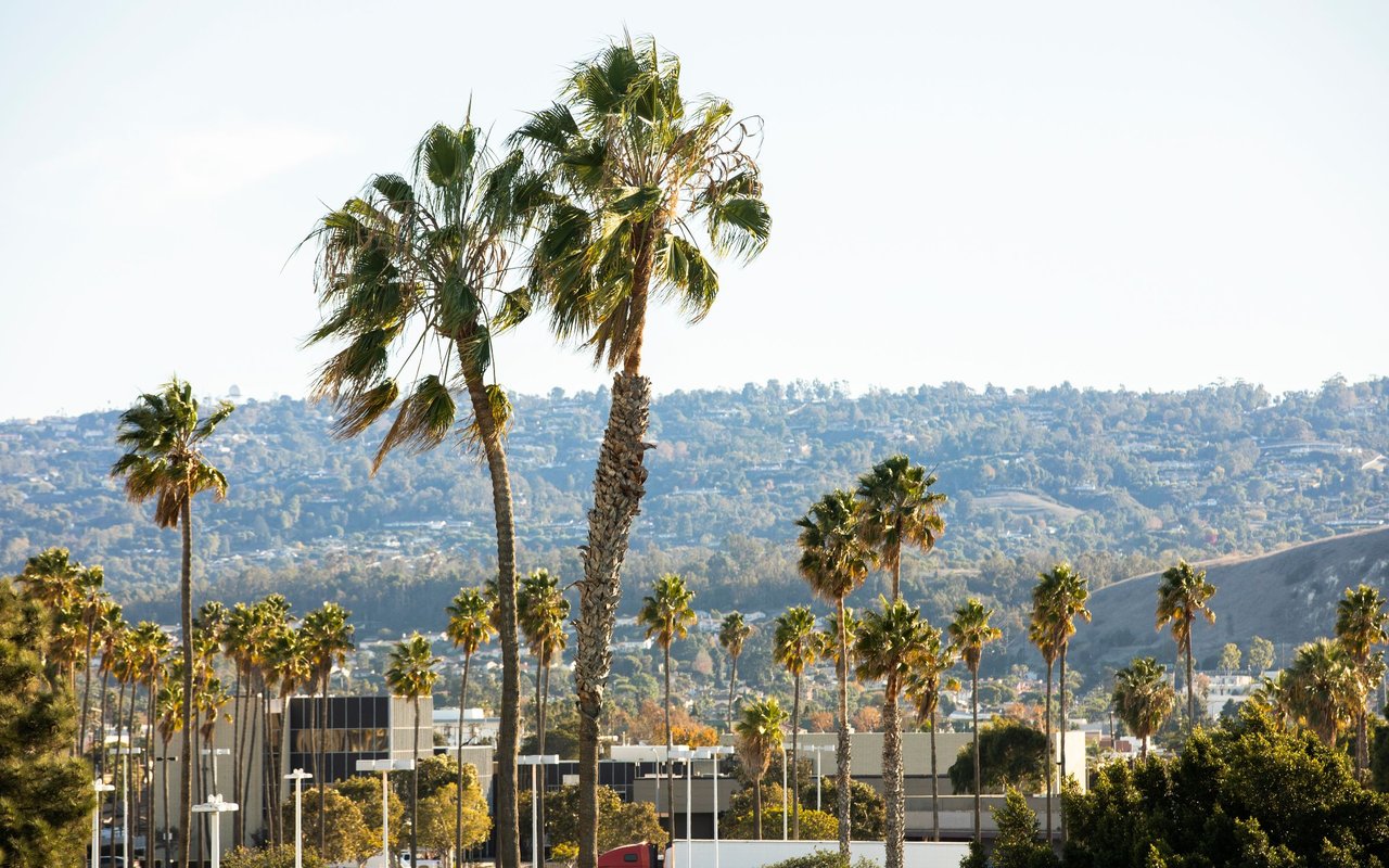 Torrance
