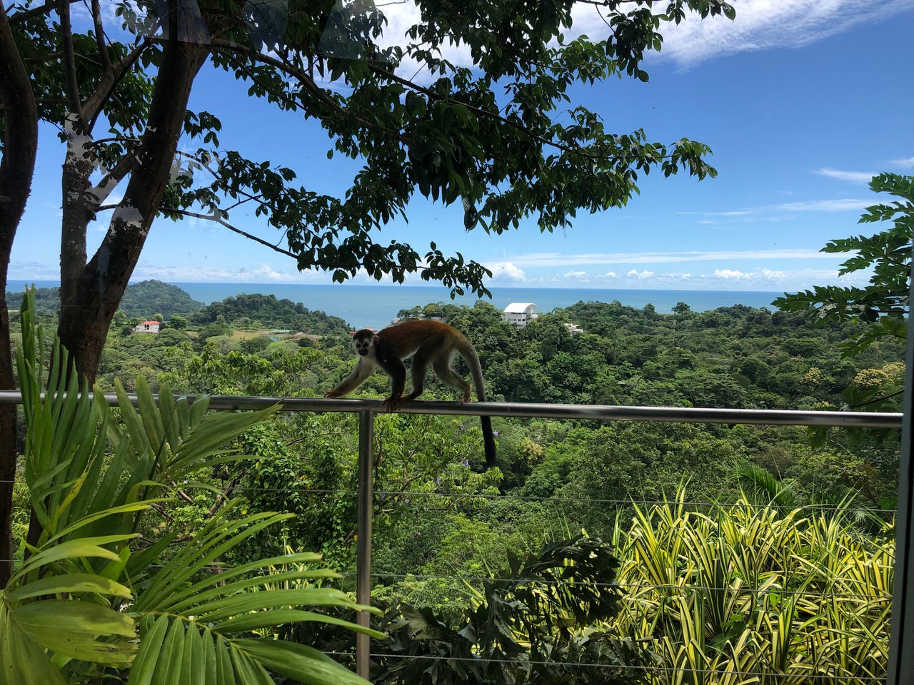 Casa Pura Vista, Iconic Oceanview Luxury Villa
