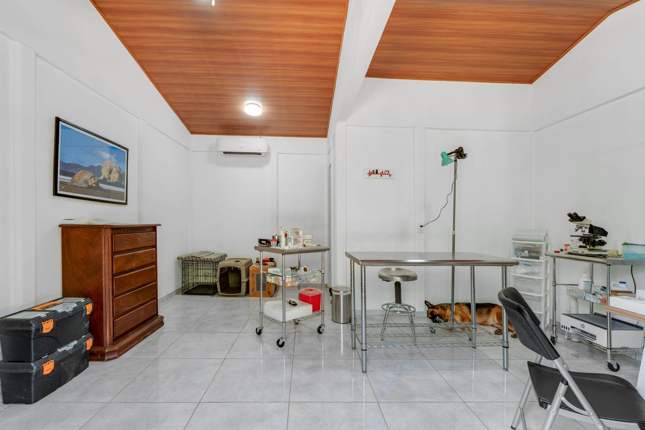Multi-Home Property | Versatile Estate Near Playa Avellanas