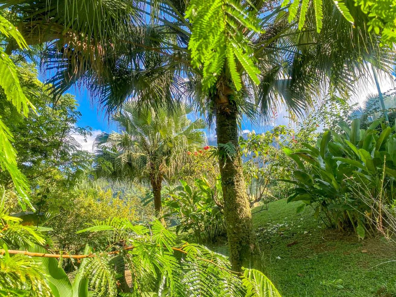 Ocean, Jungle & Mountain View Home in Ojochal | Protected Jungle Setting