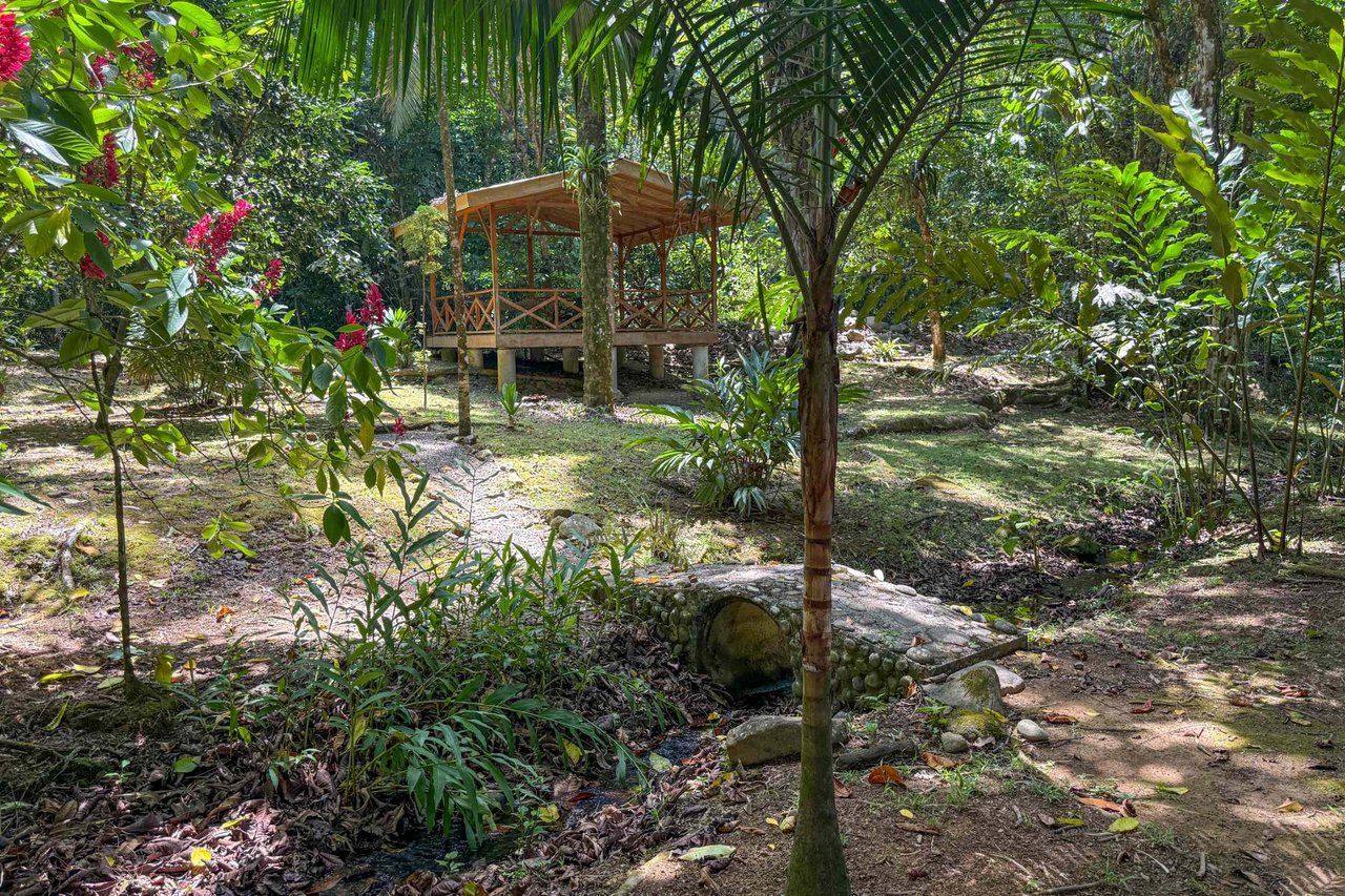  Gorgeous Jungle Hotel with 11 Beds including Owner/Manager Unit, Sparkling Pool & River Setting in Ojochal Costa Rica