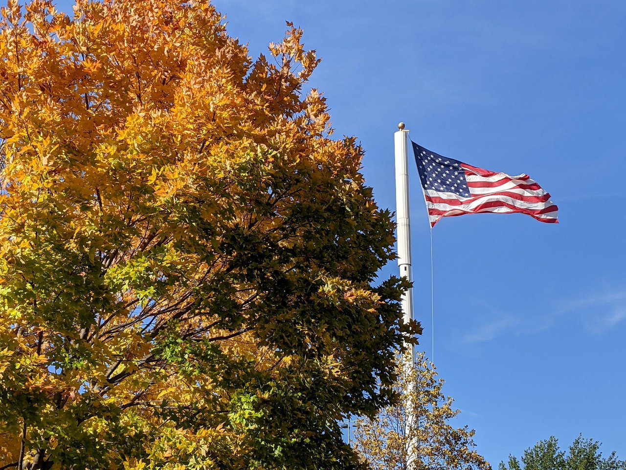 Town and Country's Veterans Day Tribute Reaches Town Square on Community Donations