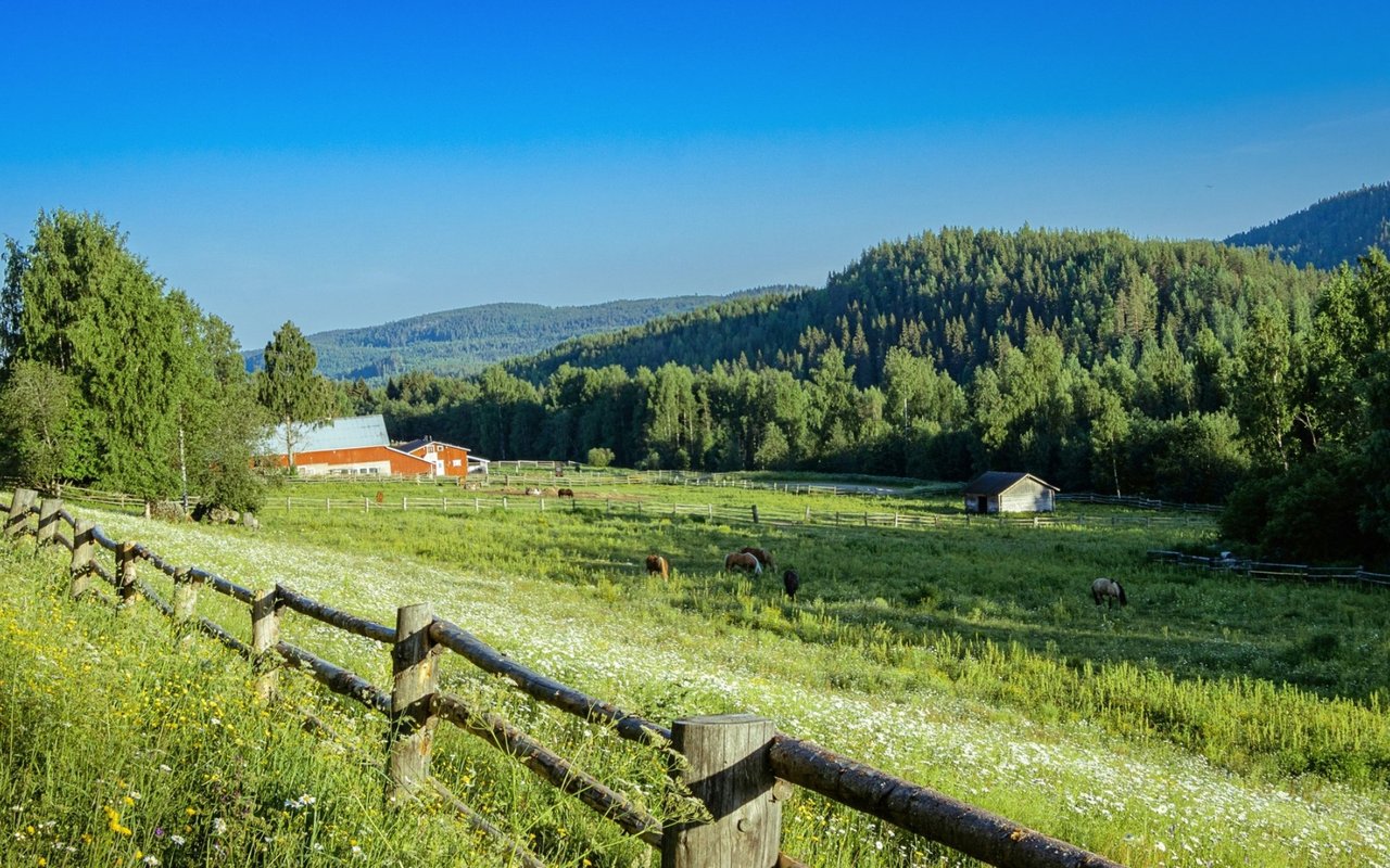 2024 Sold Listing Highlights