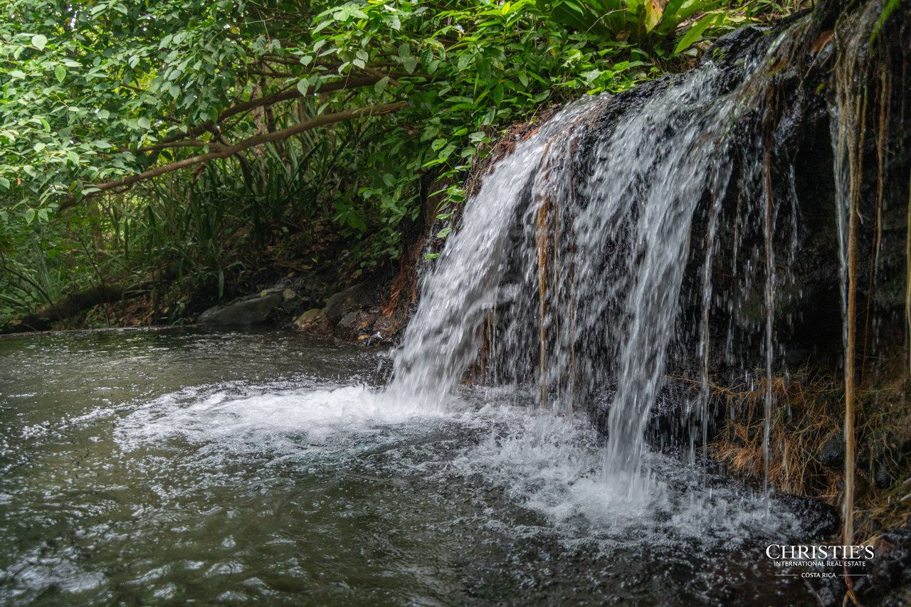 Origins Mineral: A Rare Landholding in Guanacaste’s Volcanic Highlands