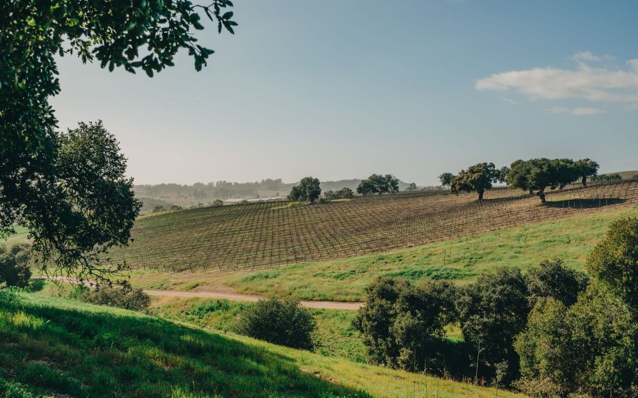 San Luis Obispo