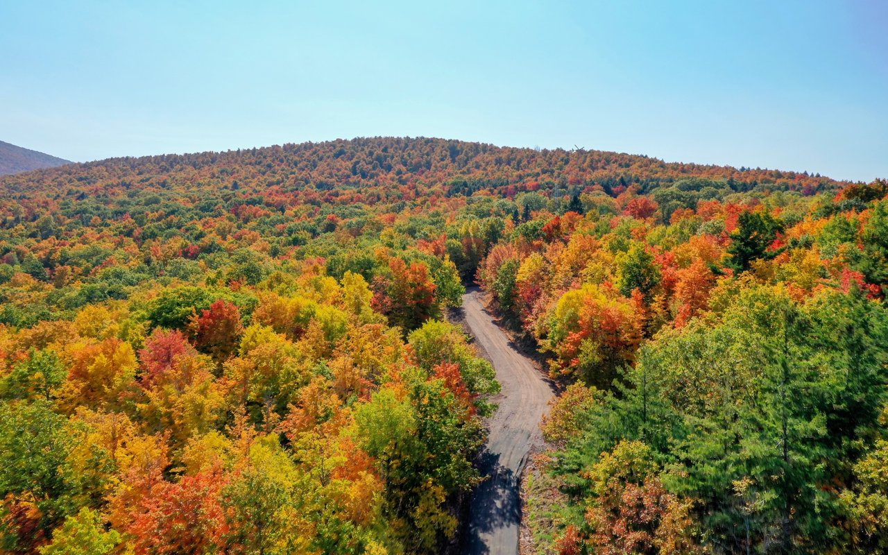 Amherst