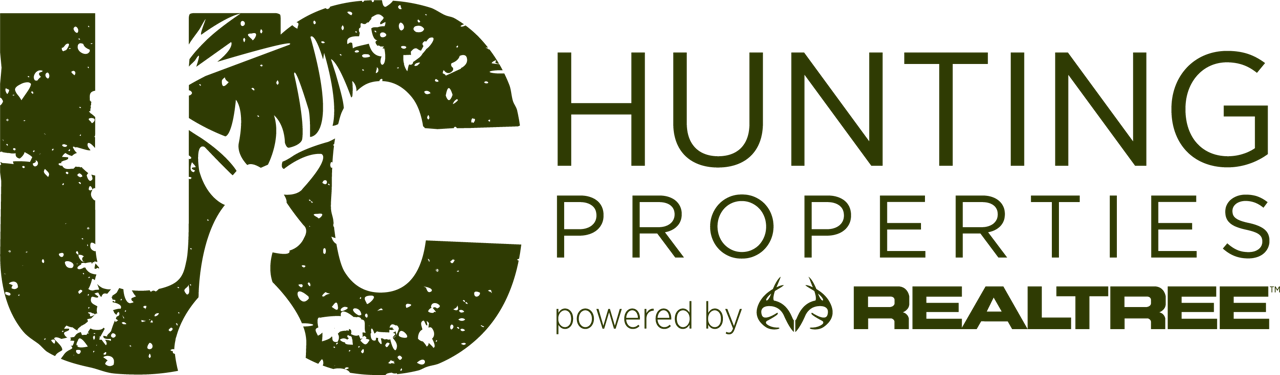 Footer Image