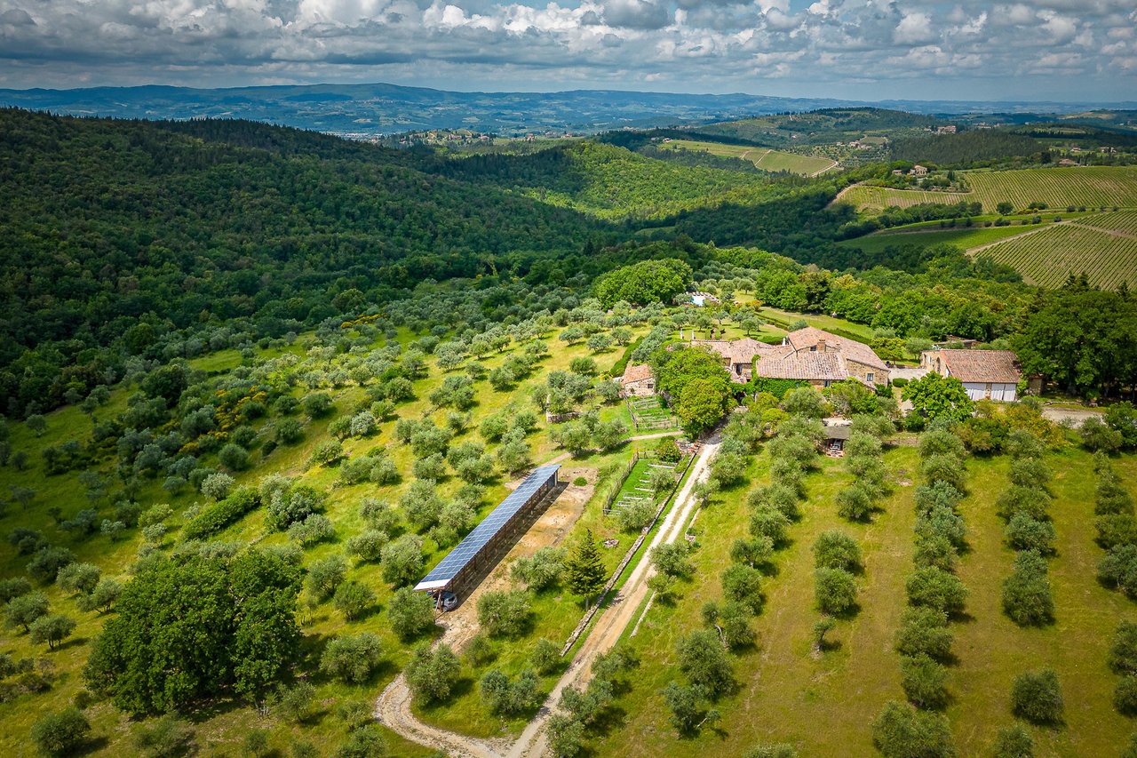 PODERE PATRIZIA 