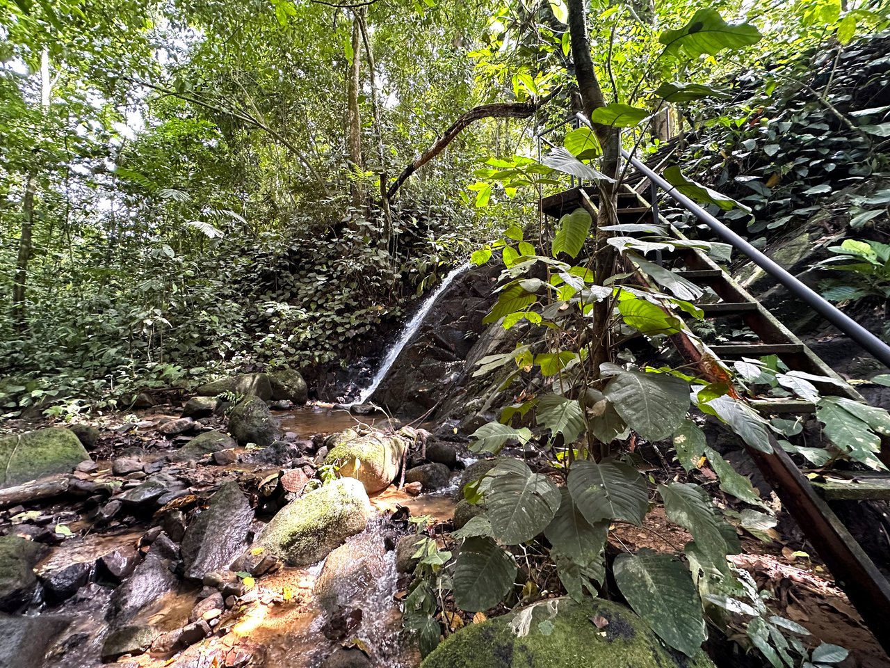FIRE SALE! Jungle, Rivers, a Waterfall and Panoramic Ocean View