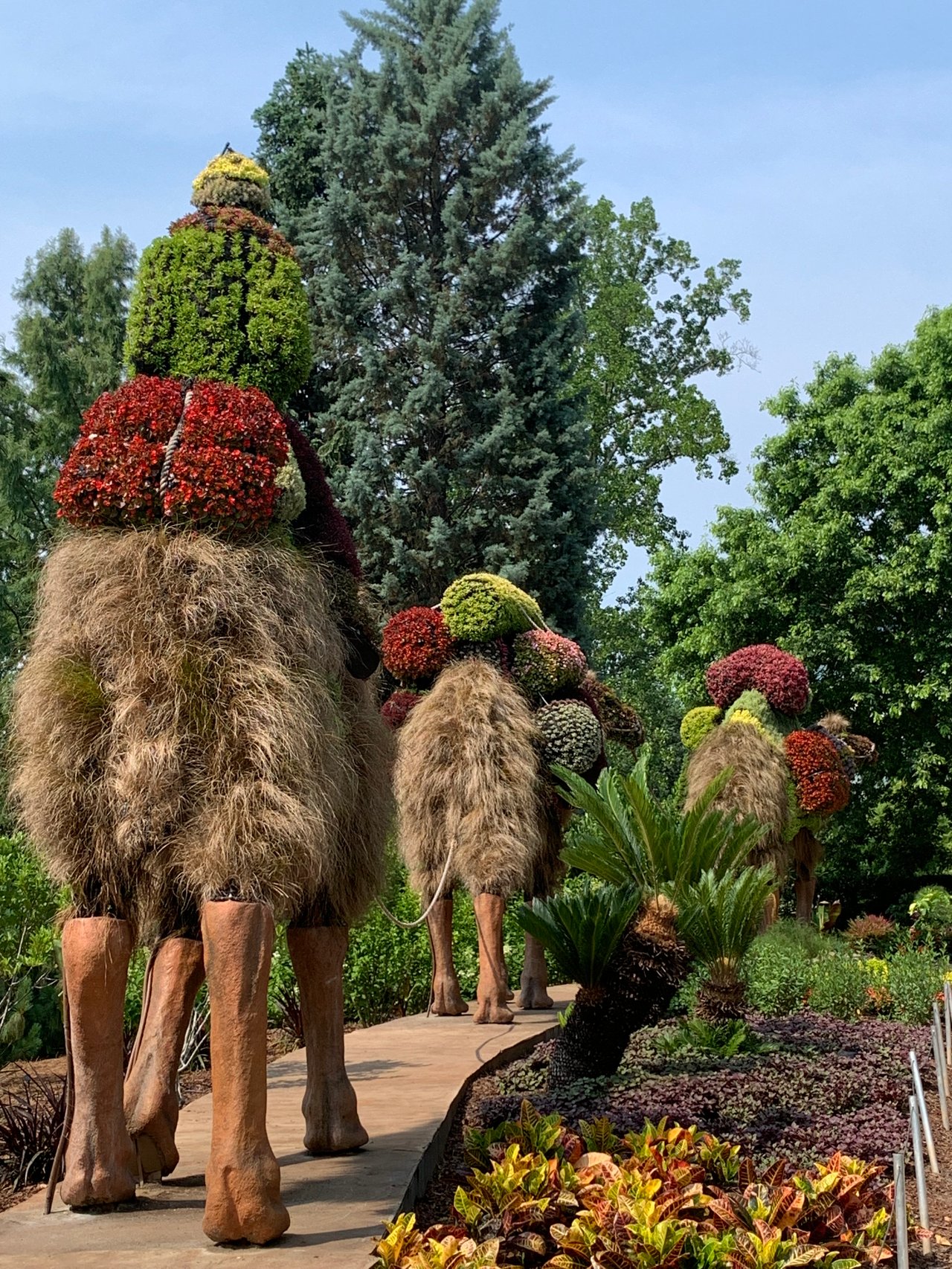 Atlanta Botanical Garden, A Lush Escape In The Heart Of Midtown
