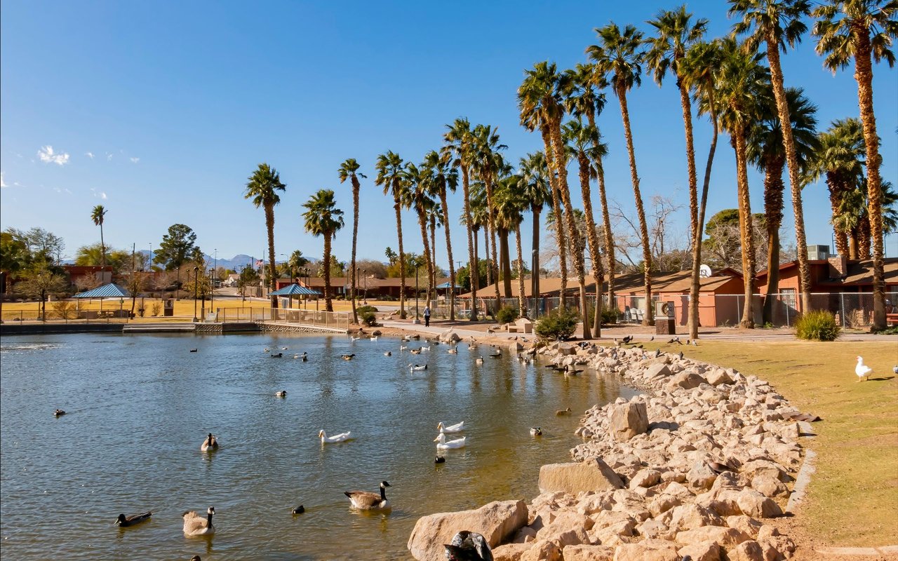 Tule Springs