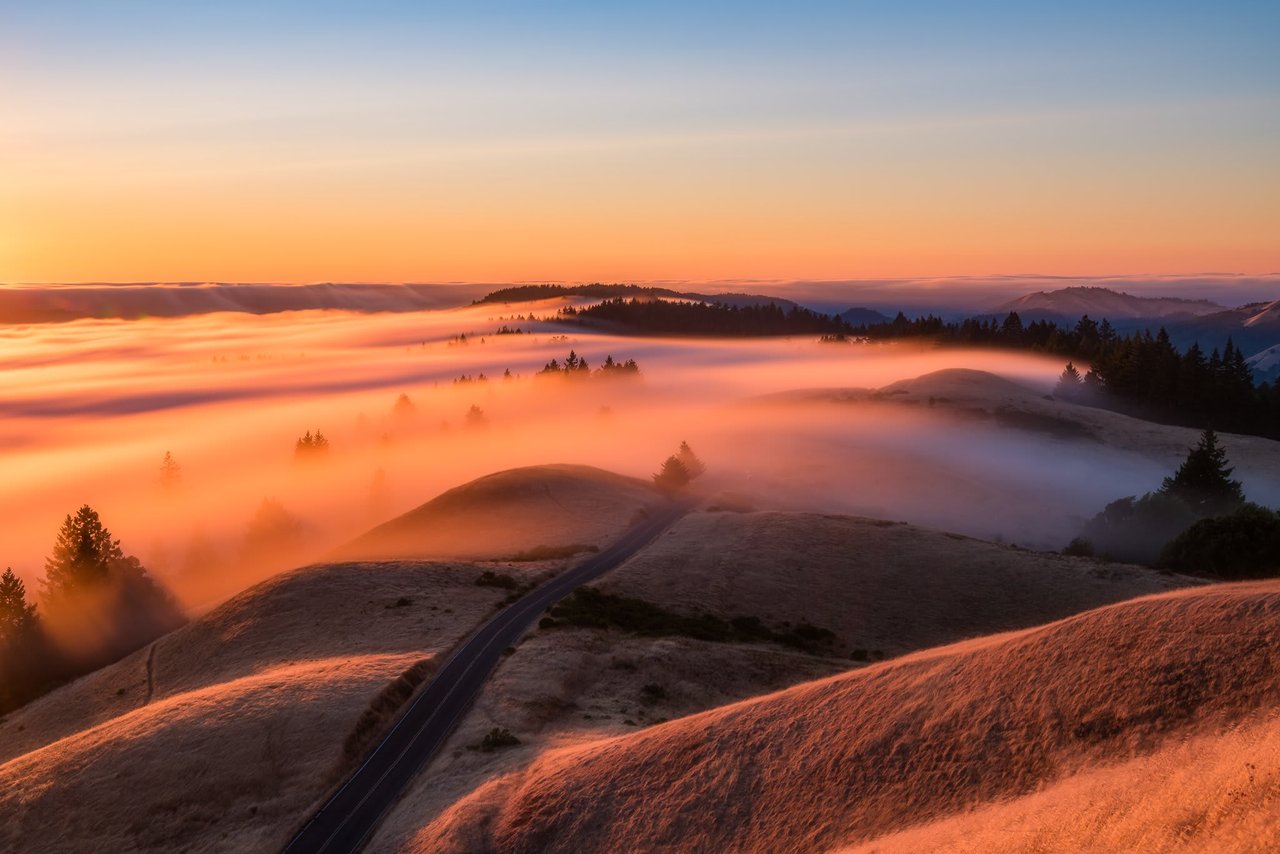 Marin Community and Real Estate Market Report - 10/16/20