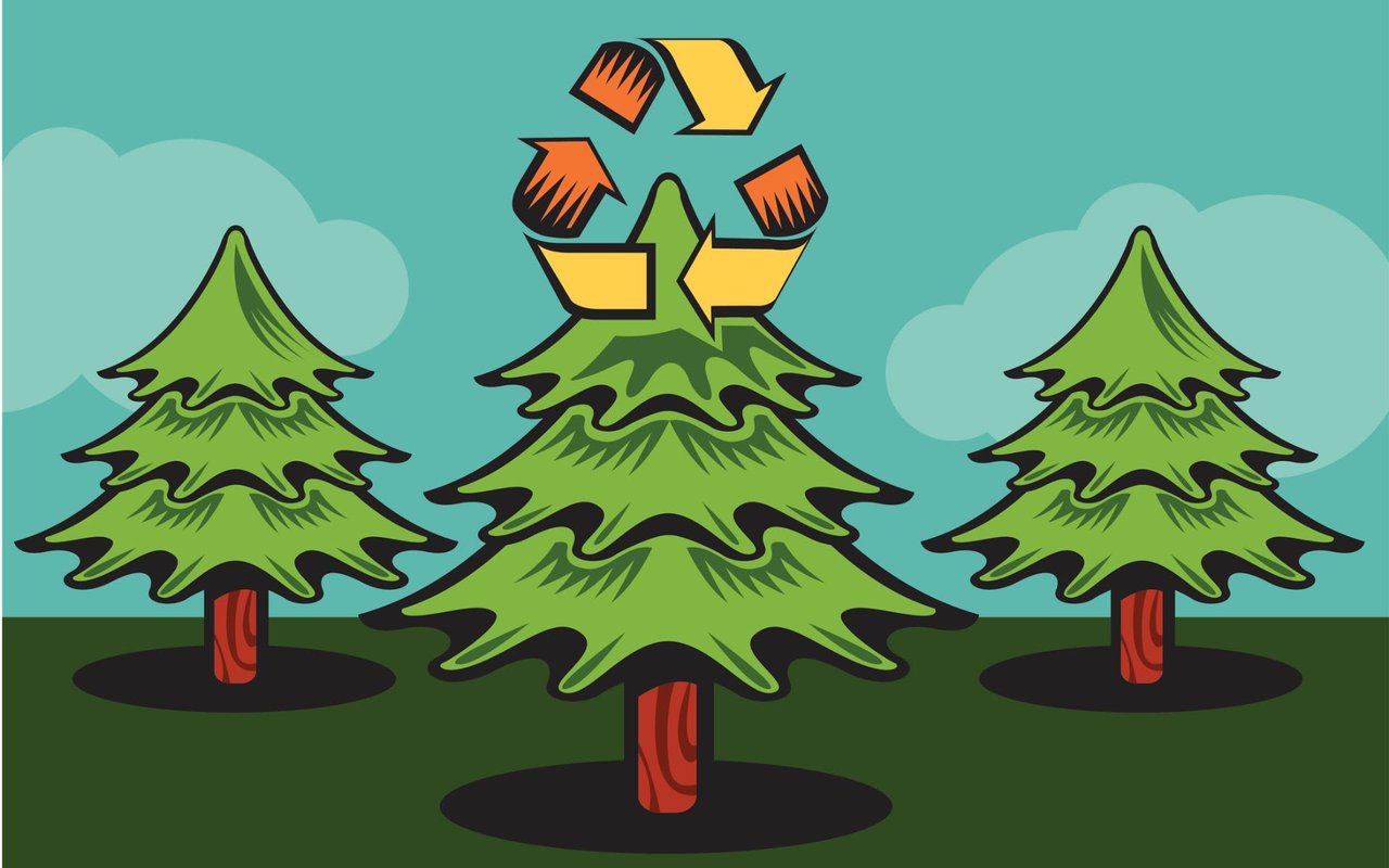 Christmas Tree Recycling In Austin & Dripping Springs [Updated 2020]