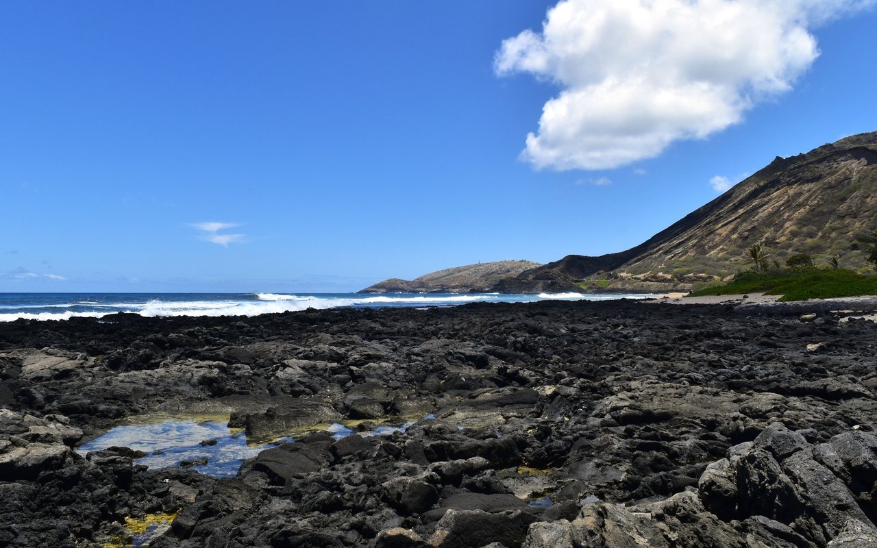 Rugged rocky shoreline with tide pools, ocean waves, and a hillside beneath a bright blue sky.
